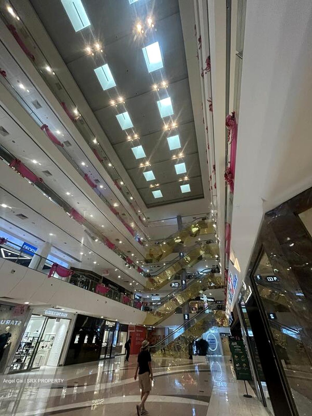 The Centrepoint (D9), Shop House #451378041